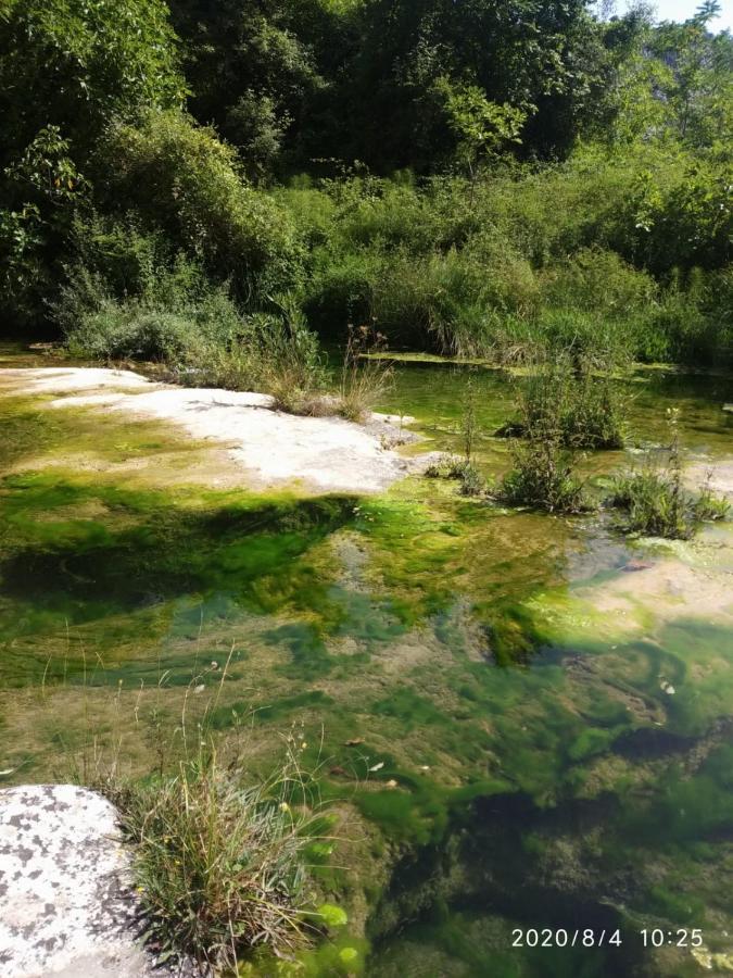 La Finestra Sul Cortile Da Alberto Avola Exterior foto